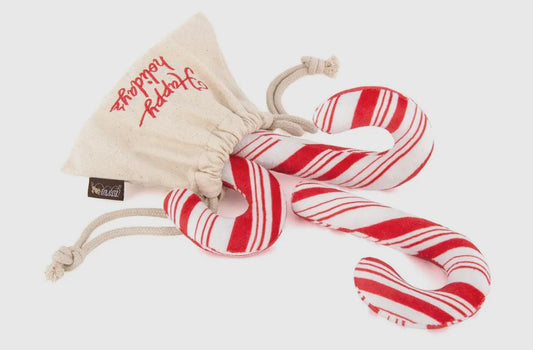 Hundespielzeug Zuckerstangen