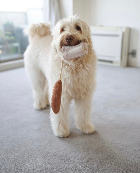 Hundespielzeug Mini-Baguette