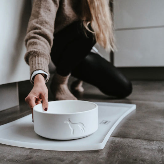 Napfunterlage Selection Silikon transparent