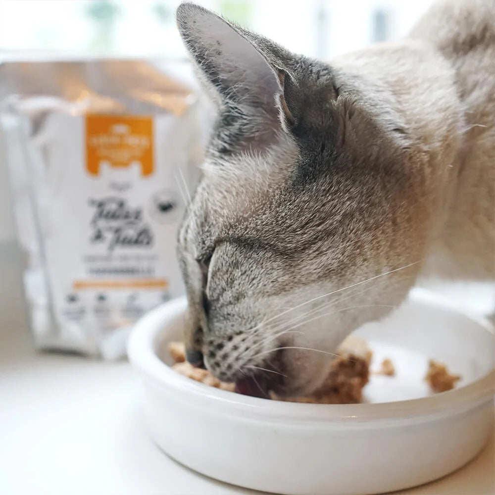 Tales & Tails Nassfutter für Katzen mit 100% Forelle - 100g