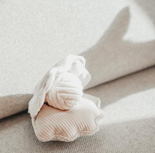 Hundespielzeug Muschel