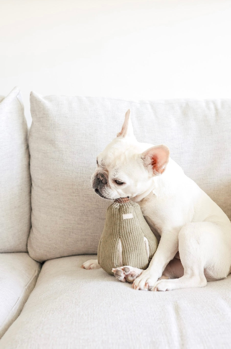 Hundespielzeug Birne