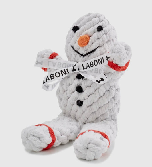 Shawn der Schneemann