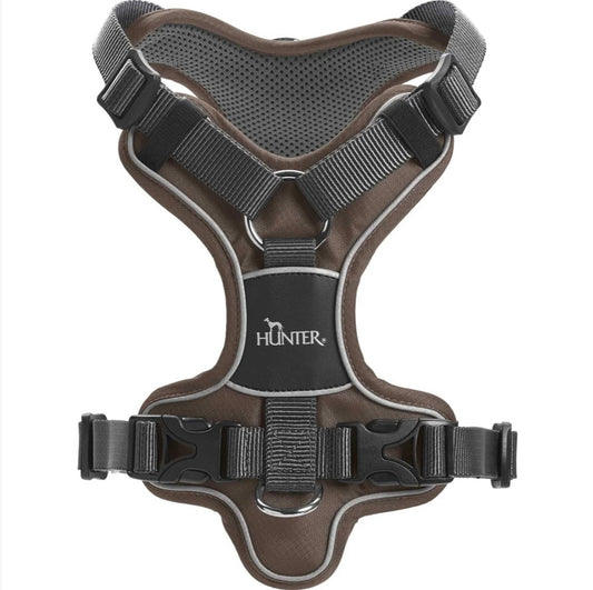 Geschirr Divo, braun/grau