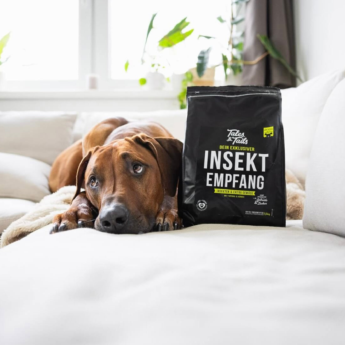 Tales & Tails Adult Soft Insekten