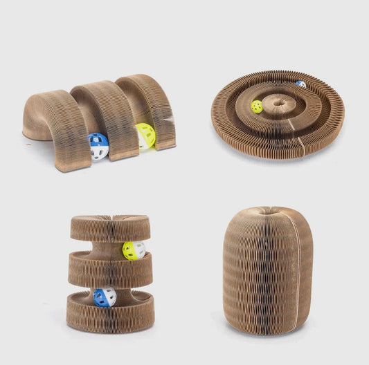 Multifunktionales Kratzbrett