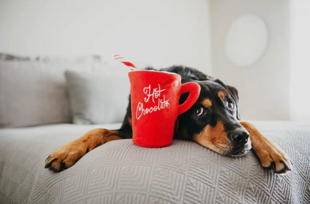 Hundespielzeug Heiße Schokolade