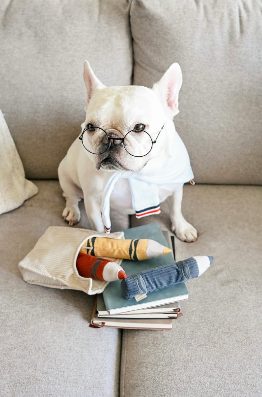 Hundespielzeug Buntstifte