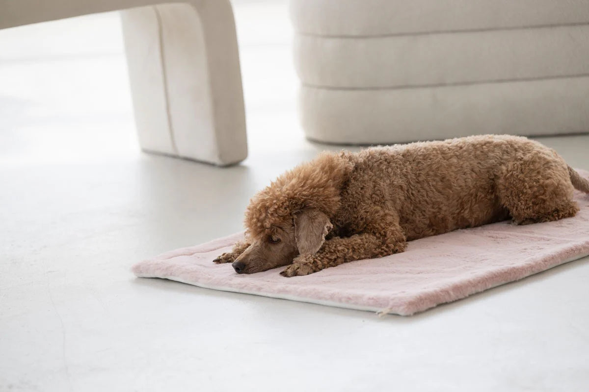 Hundedecke Webpelz Rosa