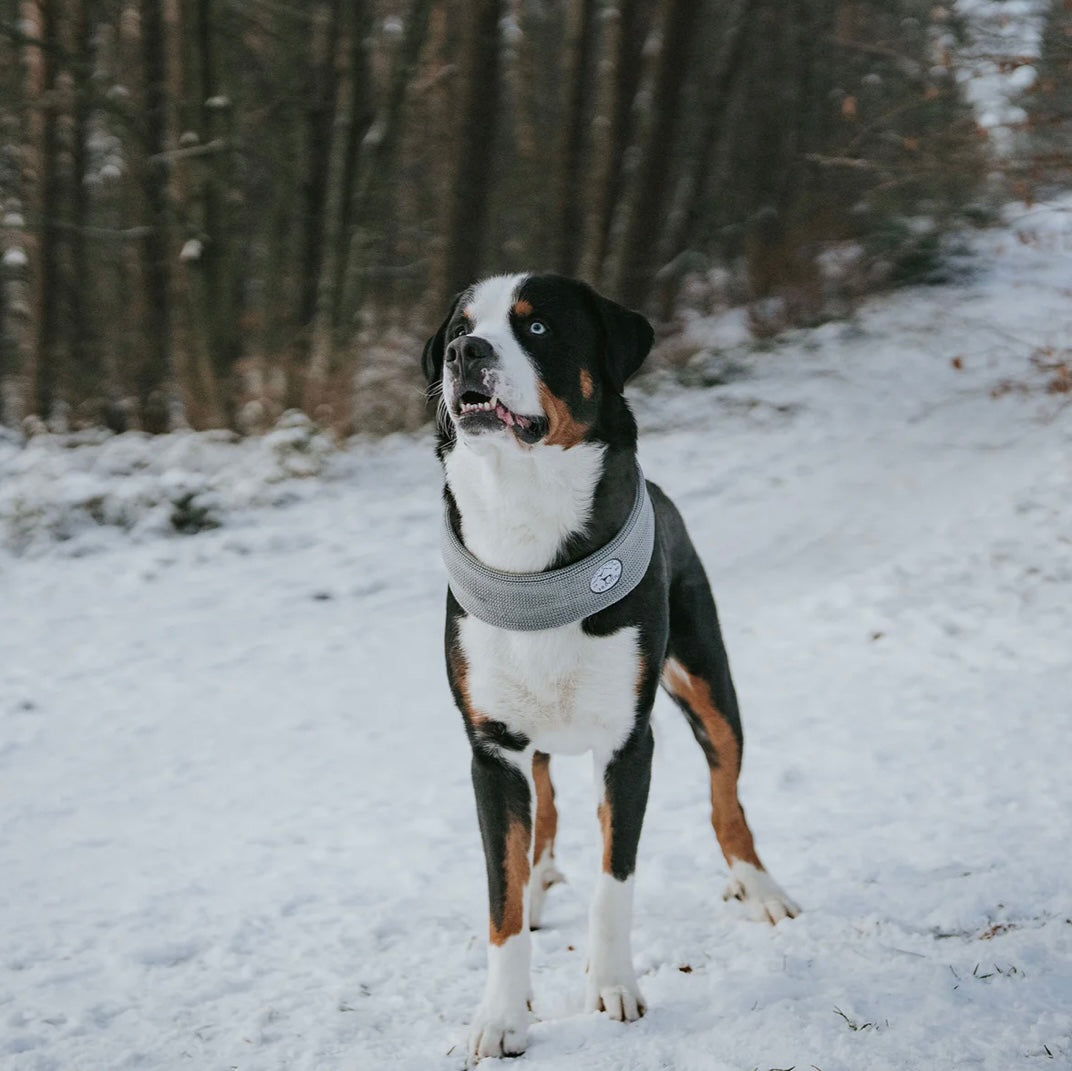 Schal Malmö 78 cm Polyacryl grau