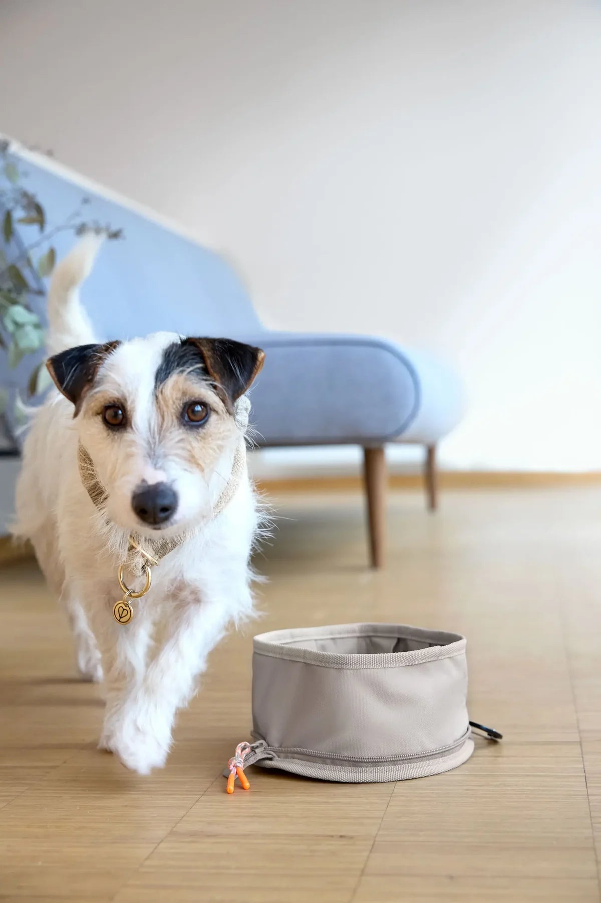 Dog Bowl to go Tura taupe