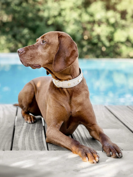 Halsband Diamond - Elfenbein/Goldfarben