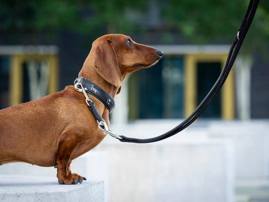 Lederleine rundgenäht 2m Silber - Dunkelbraun
