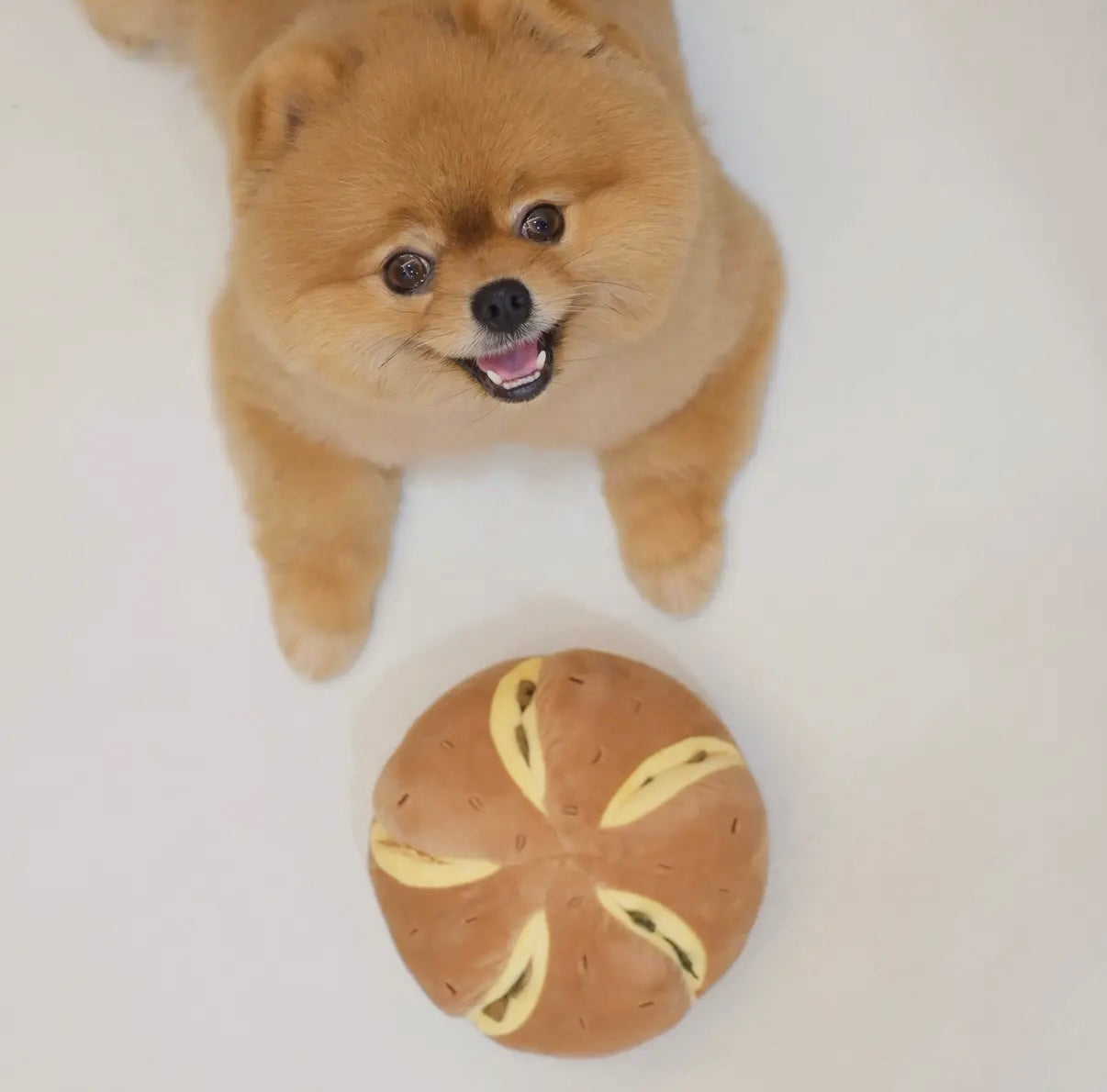 Käsebrot Nasenarbeit Spielzeug