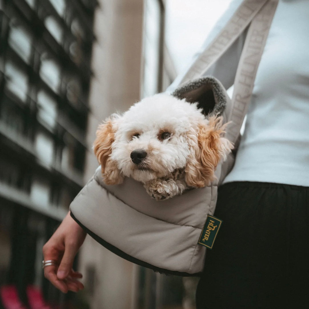 2-in-1 Hunde-Tragetasche und Decke greige