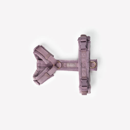 Flieder - Samt Hundegeschirr