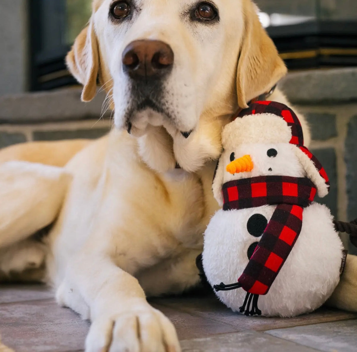 Hundespielzeug Schneemann