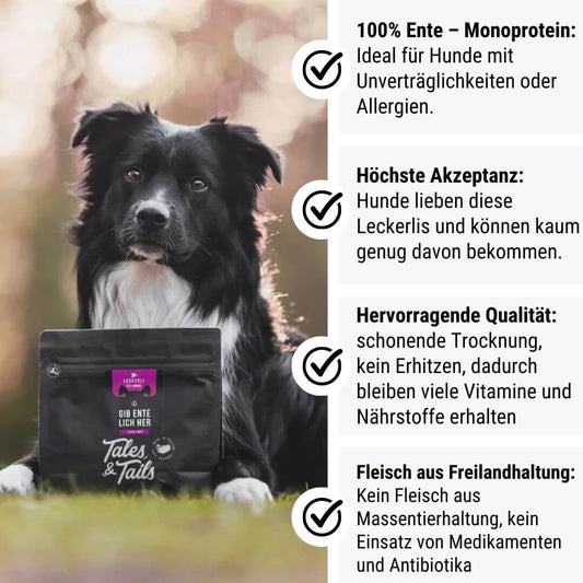 Tales & Tails Gib EnteLich her- Trainingsleckerli 100% Ente 250g