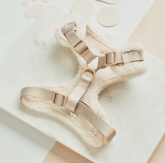 Geschirr- Nude Aviator