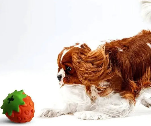 Hundespiel - Panton Strawberry - Crosses