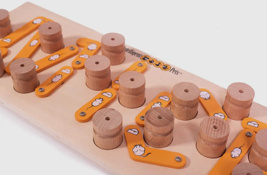 MICE - intelligentes Katzen- und Hundespielzeug