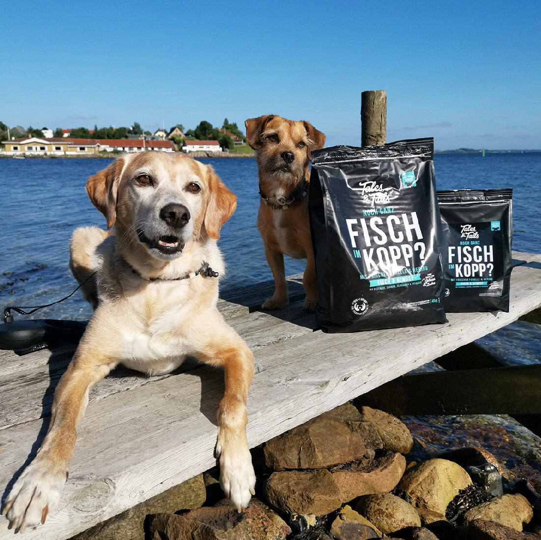 Tales & Tails Adult Soft Forelle und Hering