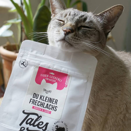 Tales & Tails Leckerli für Katzen Lachs 70g