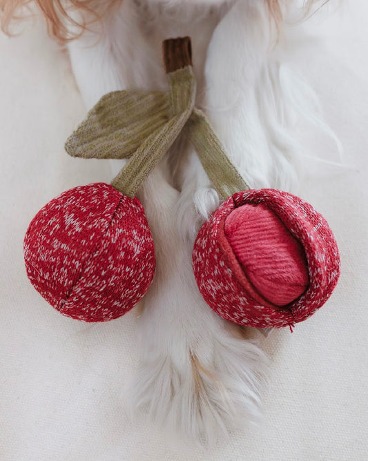Hundespielzeug Cherry Pop
