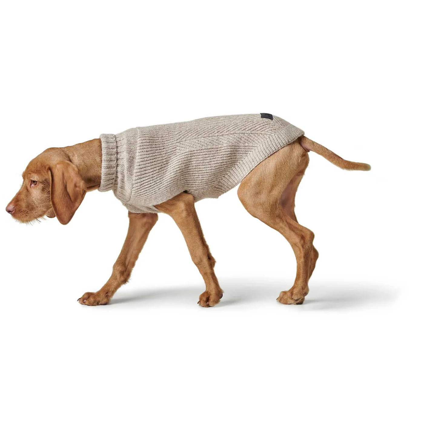Hundepullover Genf beige