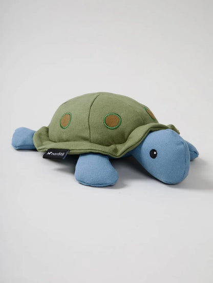 Kim die Schildkröte