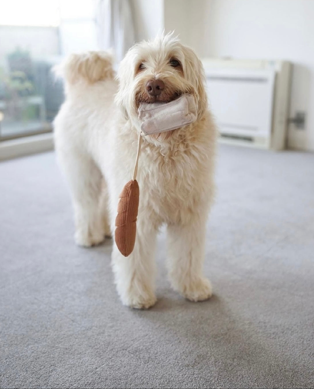 Hundespielzeug Mini-Baguette