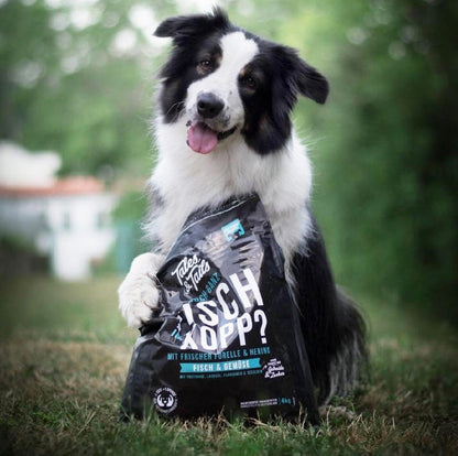 Tales & Tails Adult Soft Forelle und Hering