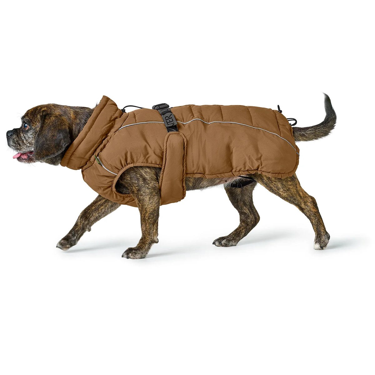 Hundemantel Mops, Frenchie & Co. karamell