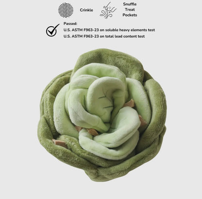 Kohl/Salat Nasenarbeit Spielzeug