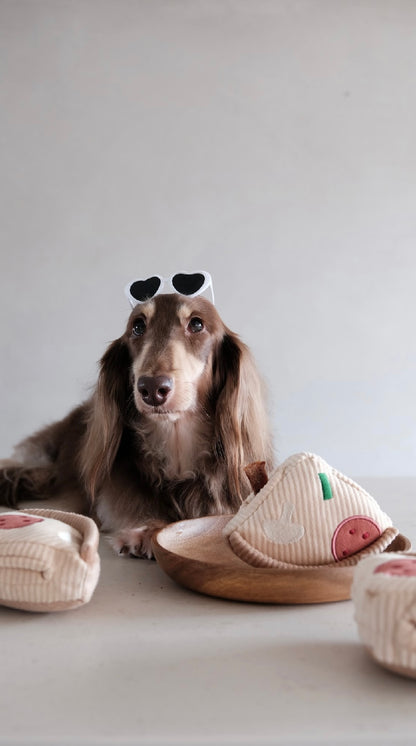 Hundespielzeug Pizza