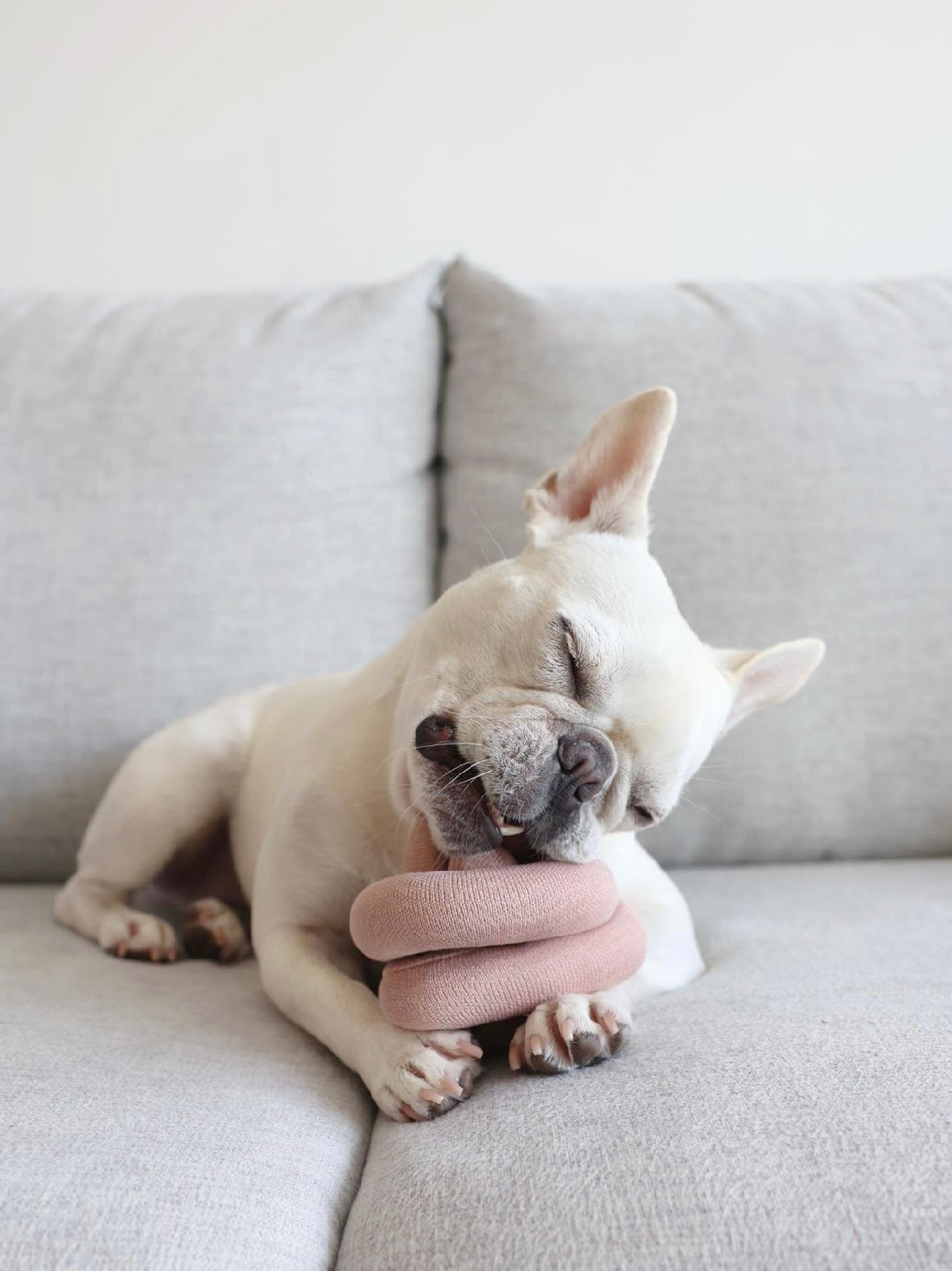 Hundespielzeug Knoten