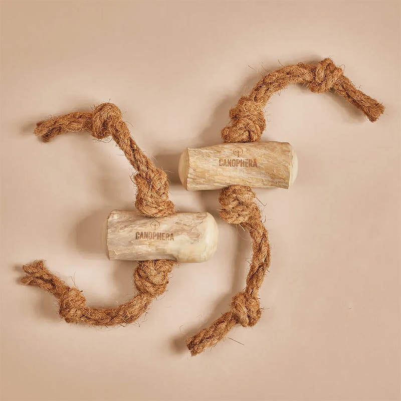 Hundekauspielzeug aus Kaffeeholz und Kokosseil