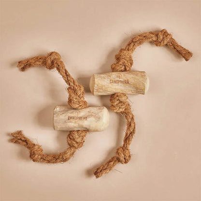 Hundekauspielzeug aus Kaffeeholz und Kokosseil