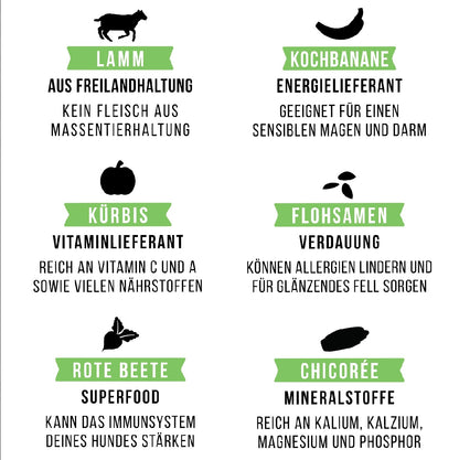 Tales & Tails Adult Soft Lamm