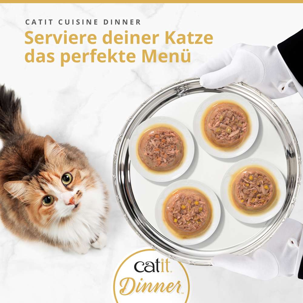 Catit Dinner Fisch 75g