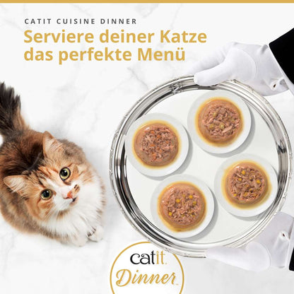 Catit Dinner Fisch 75g