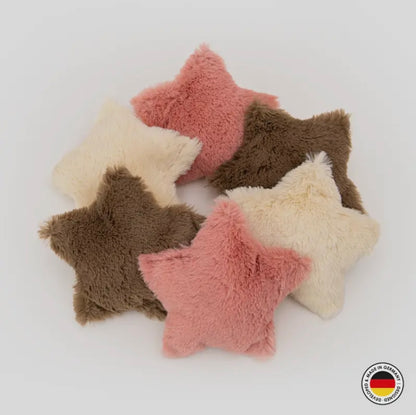 Fluffy Weihnachtsstern Katzenminze