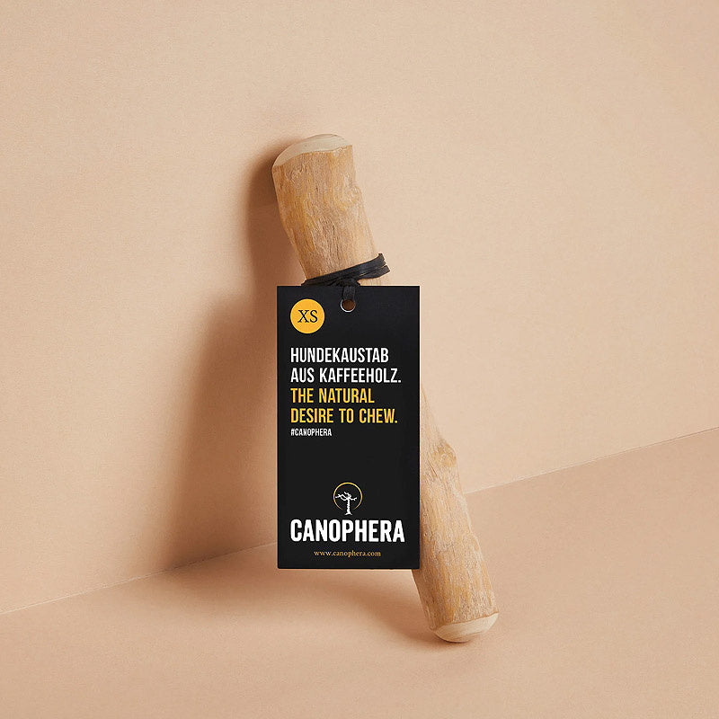 Hundekaustab aus Kaffeeholz