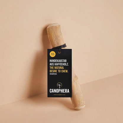 Hundekaustab aus Kaffeeholz