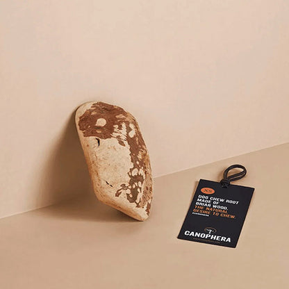 Hundekauwurzel aus Baumheide