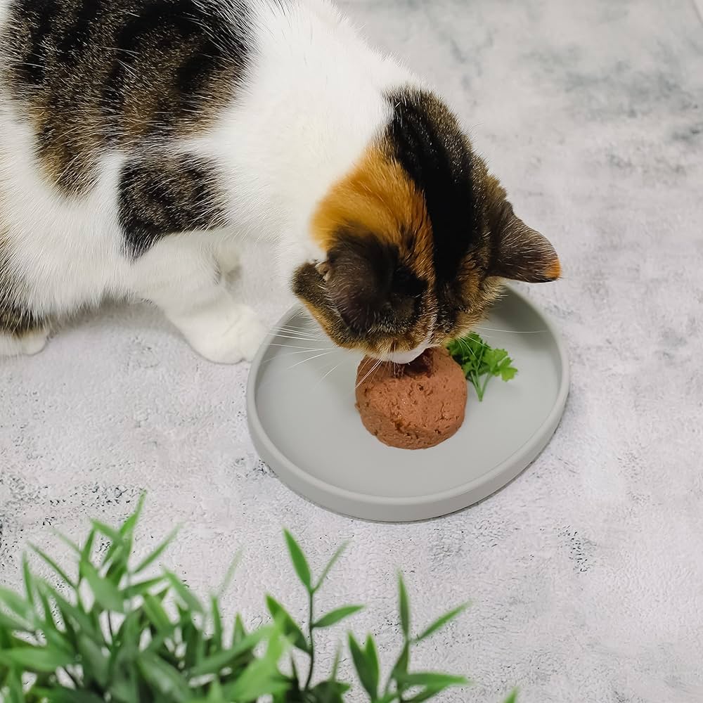 Katzen Silikon Futterschale: schnurrhaarfreundlich