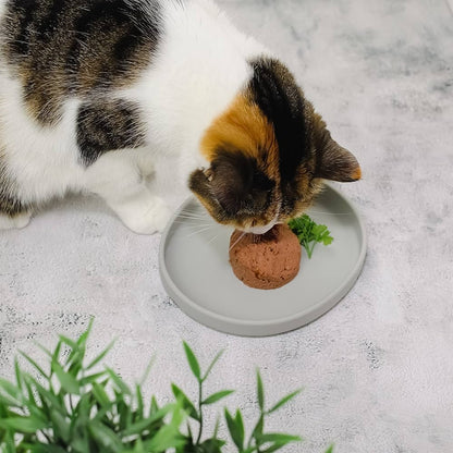 Katzen Silikon Futterschale: schnurrhaarfreundlich