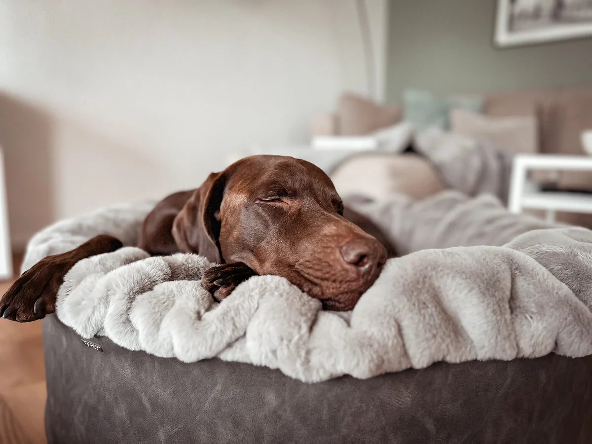 Hundebett Buddelnest - Grau