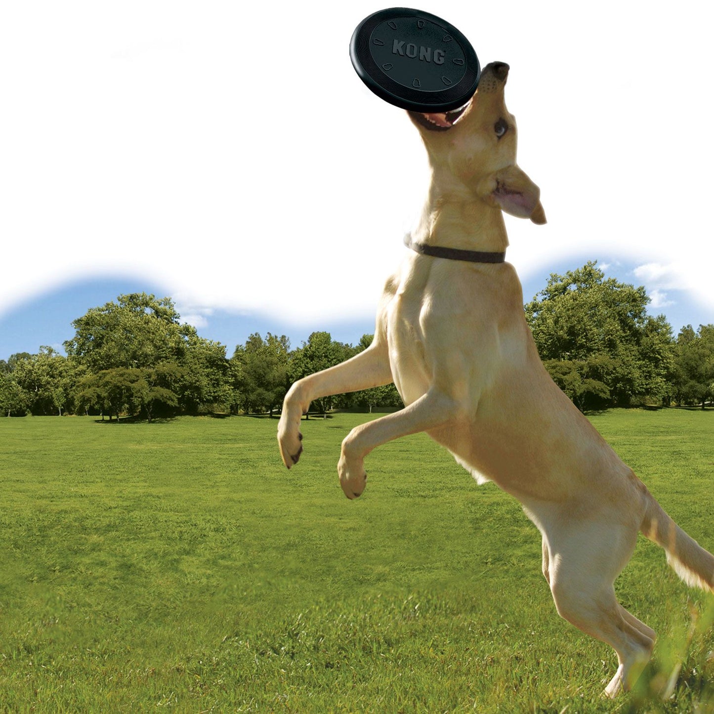 Hundespielzeug Kong Extreme Flyer