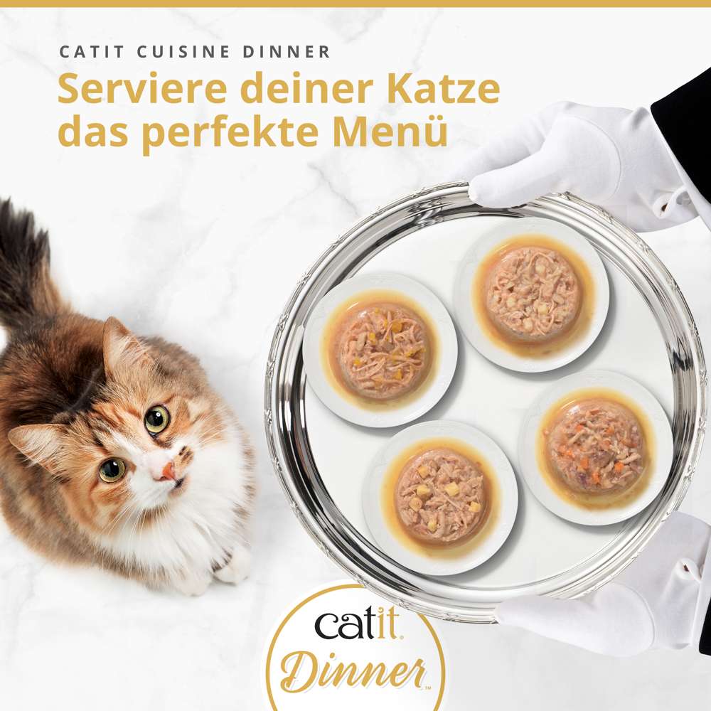 Catit Dinner Huhn 75g